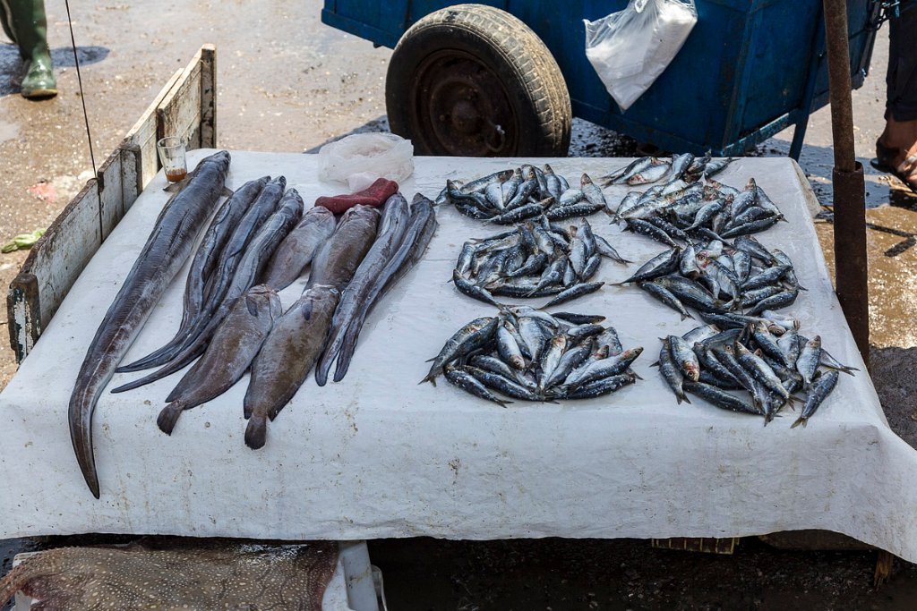 Essaouira, rybí trh