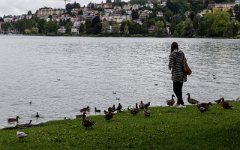 Luzern, kachny s Kačkou