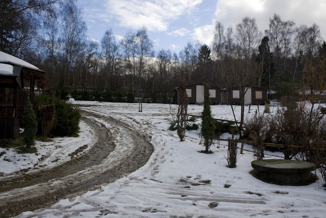 img00031.jpg