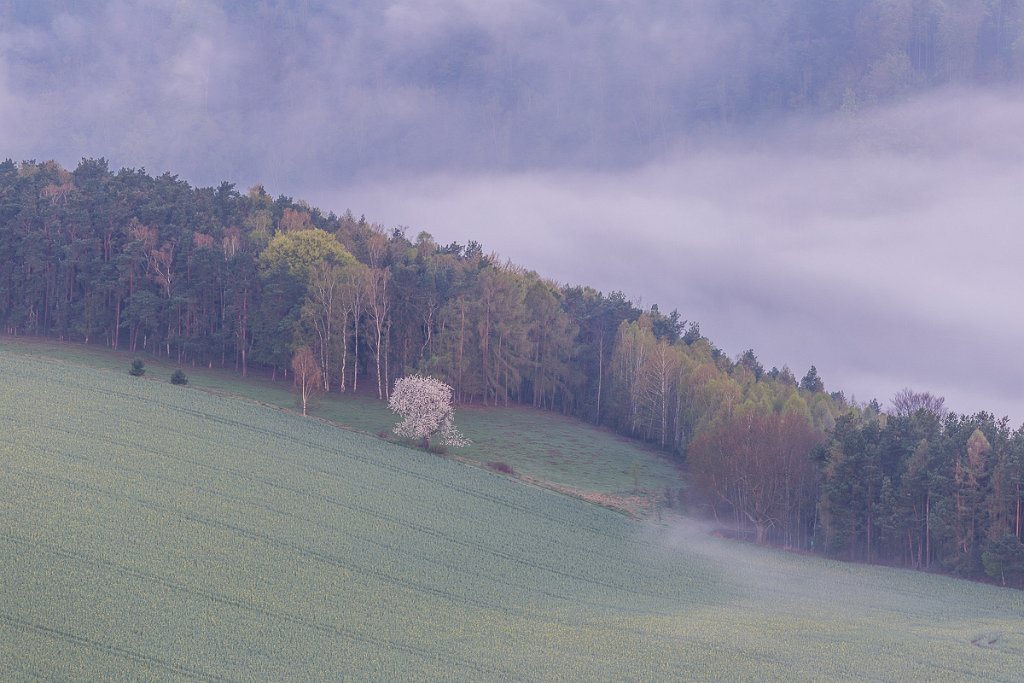 Výhledy z Lilienstein