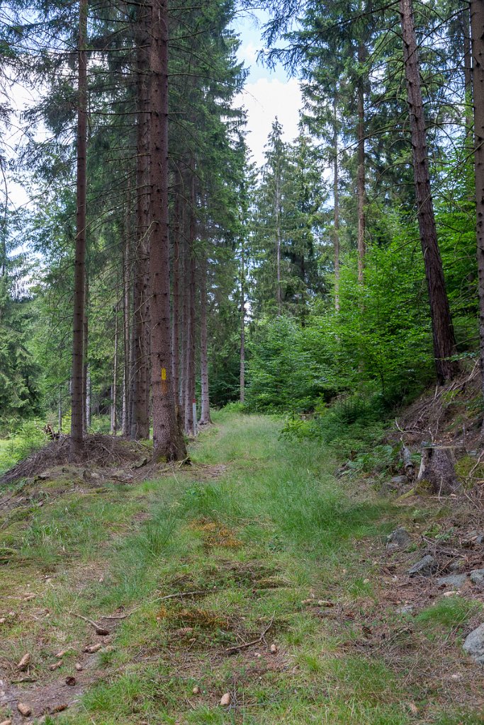 Netradičně značená cesta