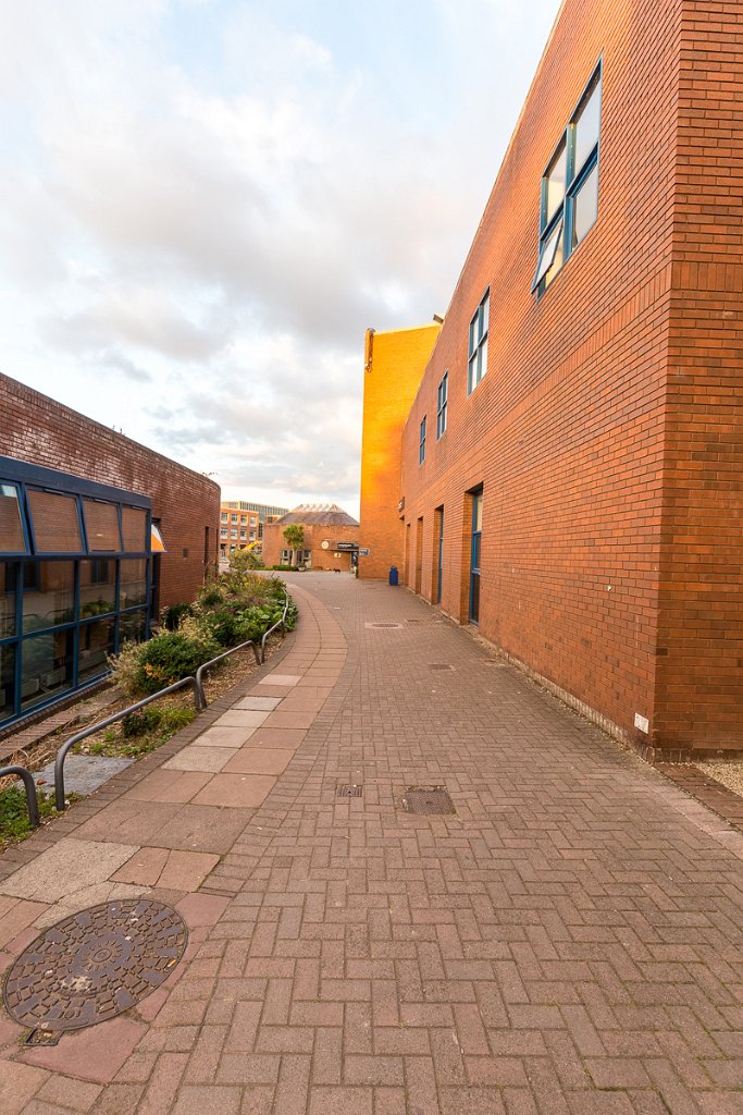 Albert College, Dublin