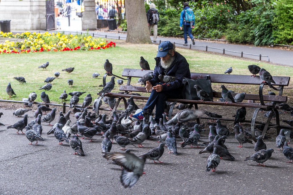 Dublin, park