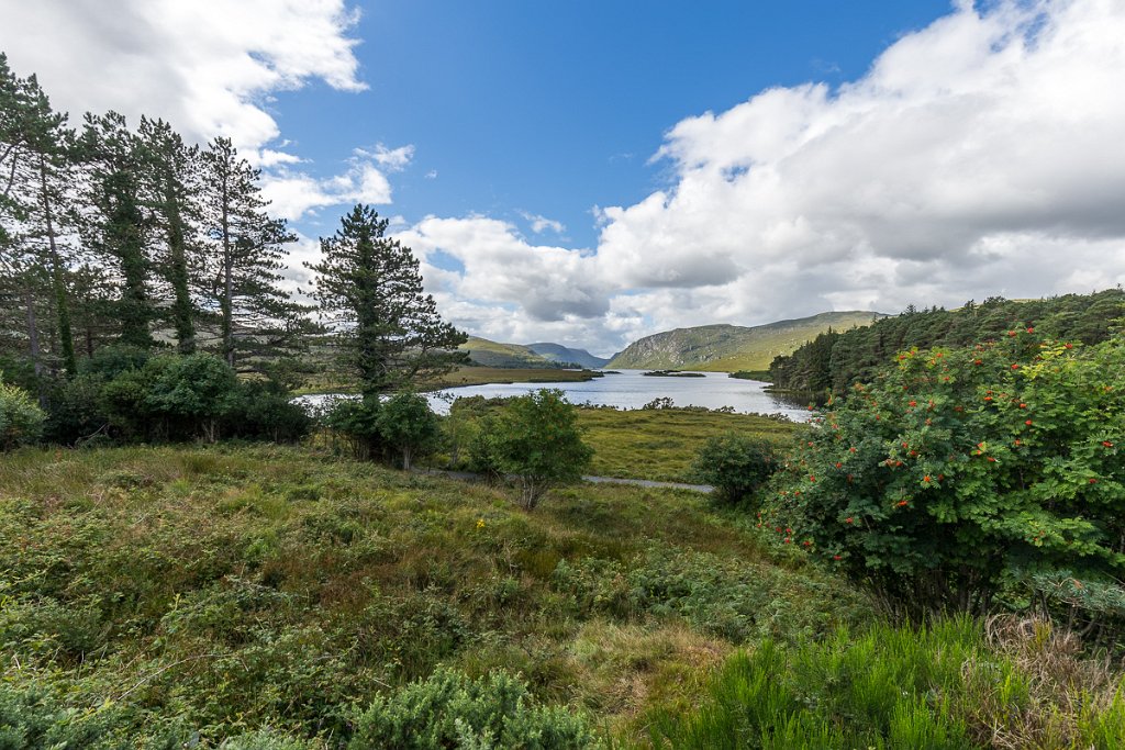 Park Glenveagh