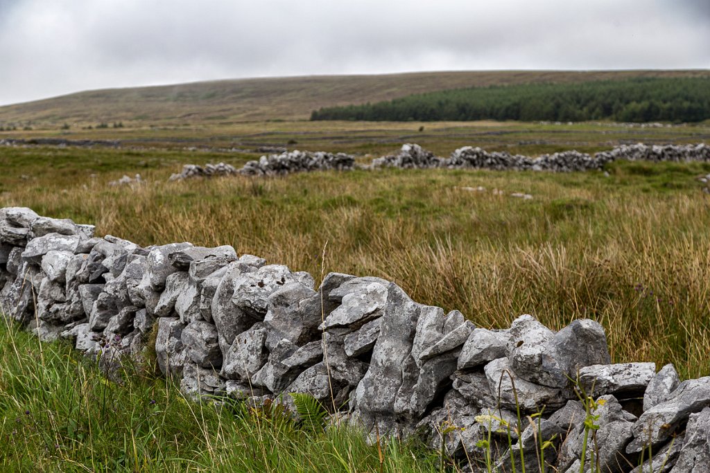 Zídky v Burren