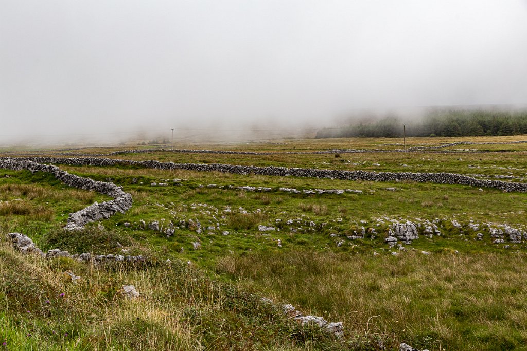 Burren