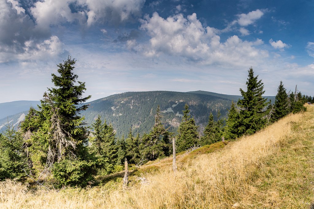 Rozhled od Vřesové studánky