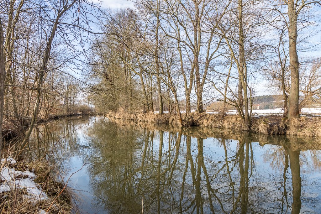 Radbuza, Dobřany