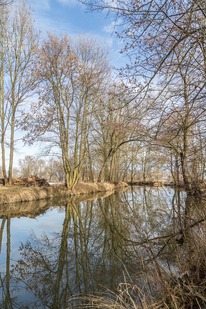 Radbuza, Dobřany