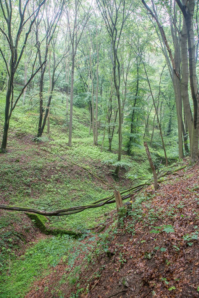 Svatojakubská cesta