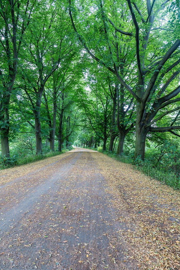 Hannover, cestou k Maschsee