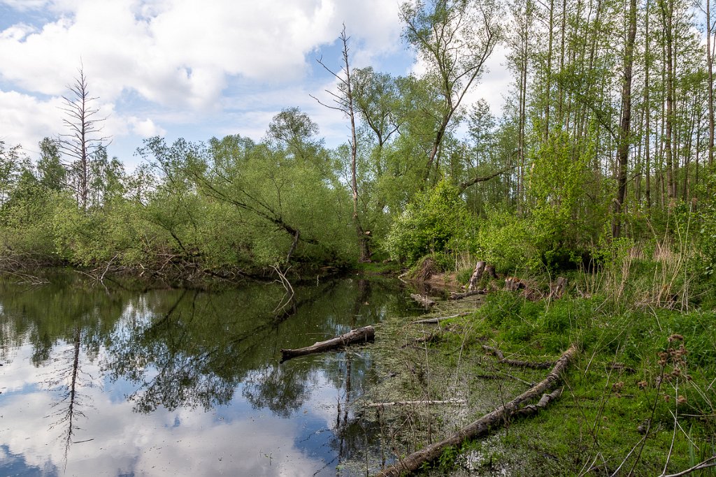 Bezedné jezero