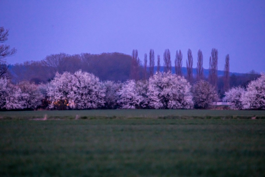 Večer, Libice nad Cidlinou