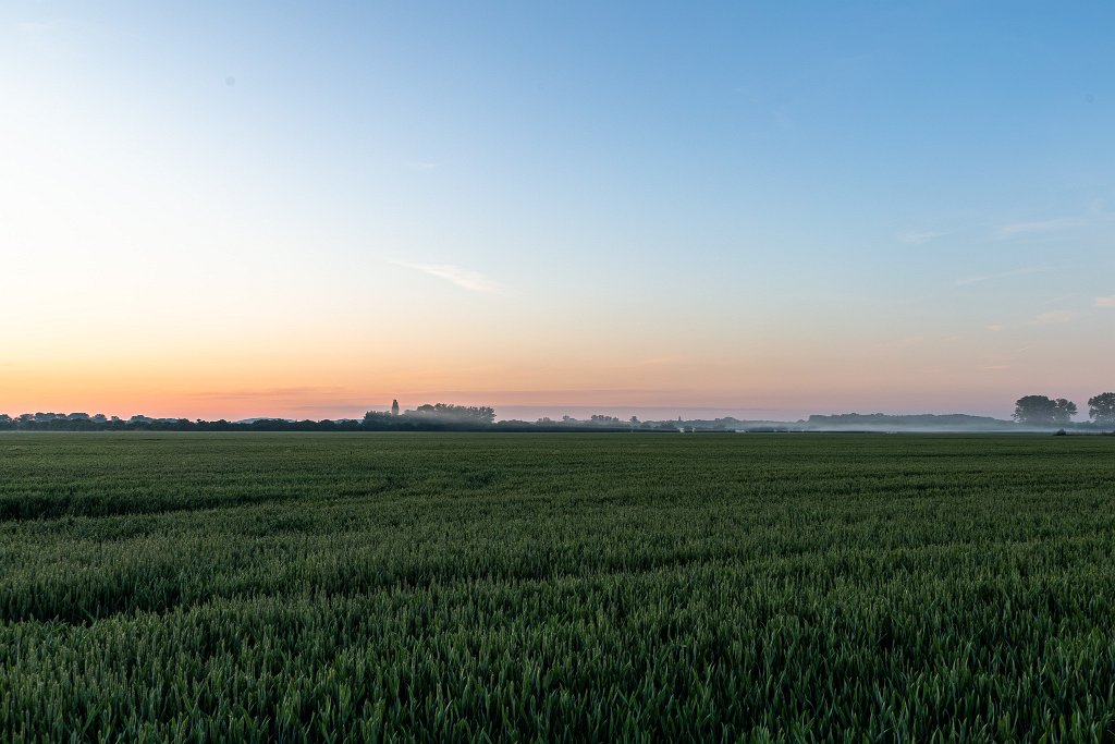 Ráno, Libice nad Cidlinou