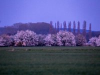 Večer, Libice nad Cidlinou