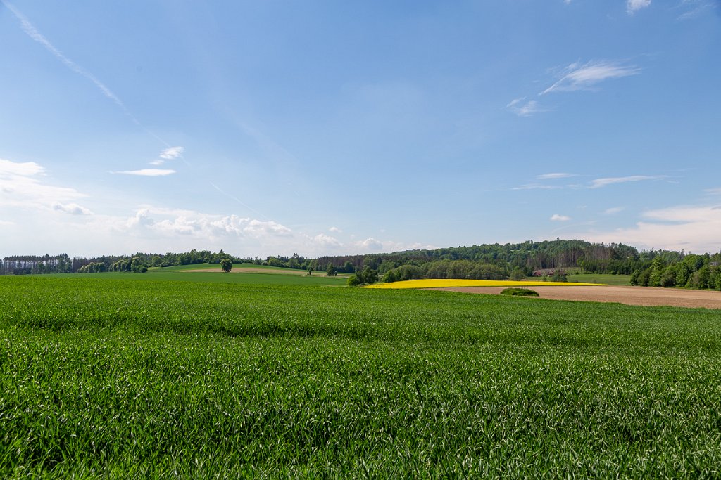 Vysočina