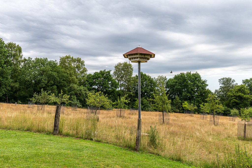 Lüneburger Heide