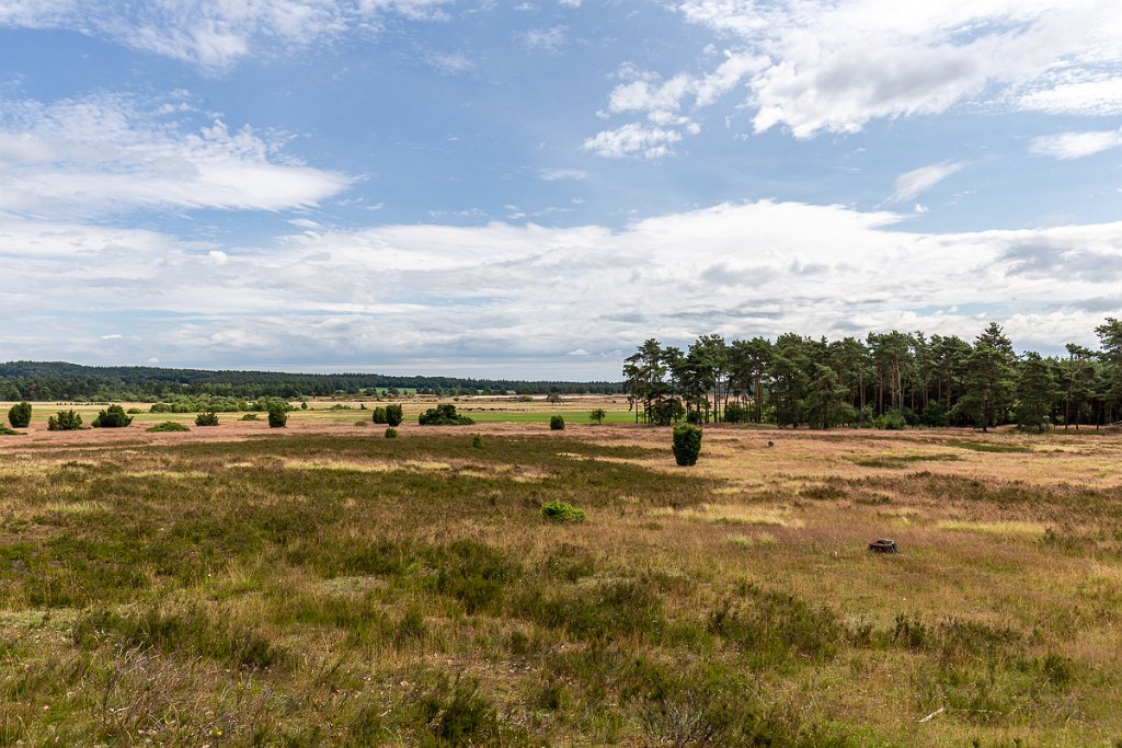 Lüneburger Heide