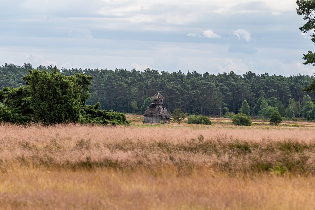 Lüneburger Heide