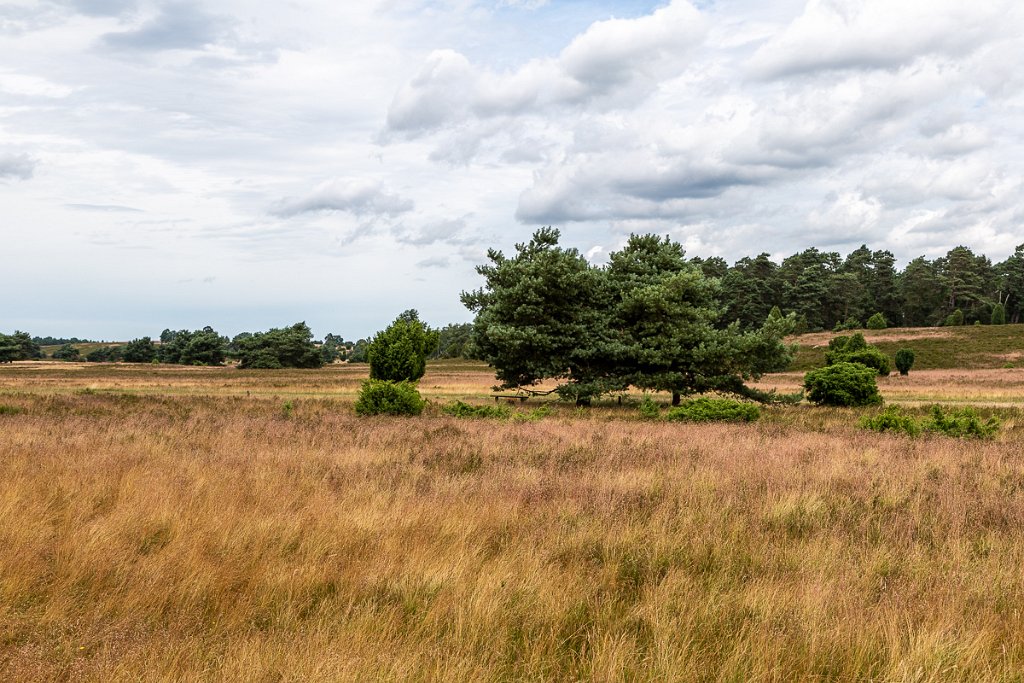 Lüneburger Heide