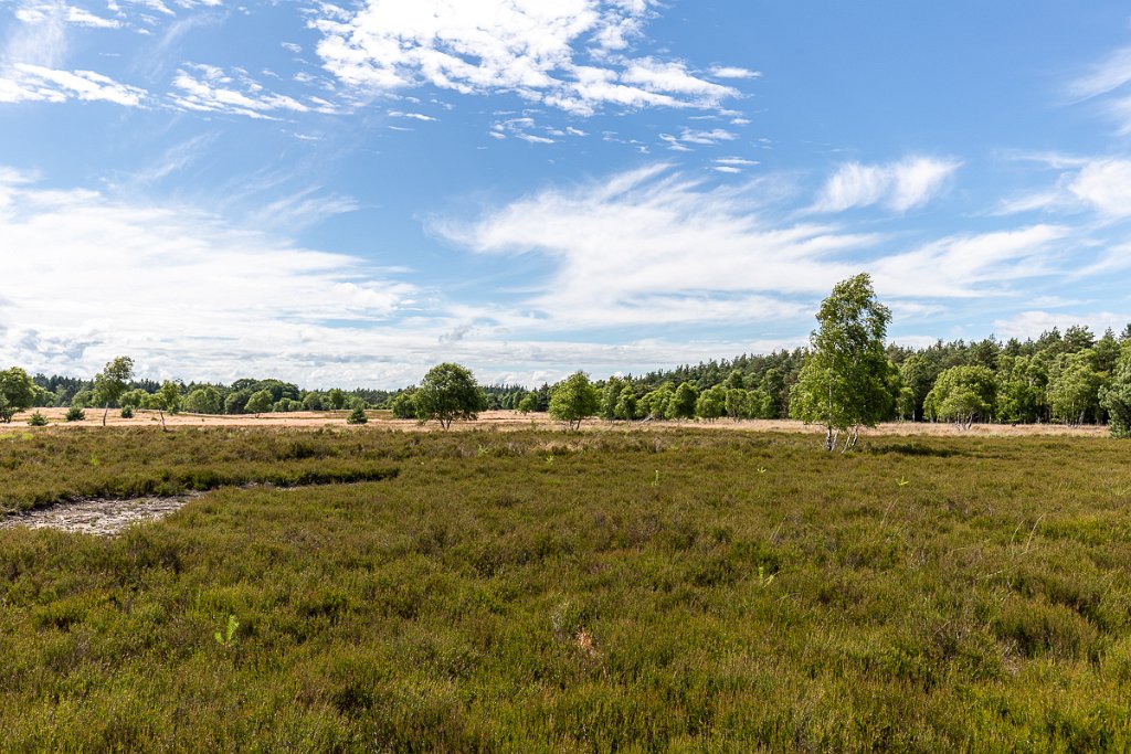 Lüneburger Heide