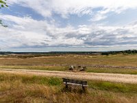 Lüneburger Heide