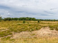 Lüneburger Heide