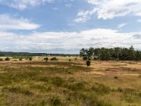 Lüneburger Heide