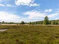 Lüneburger Heide