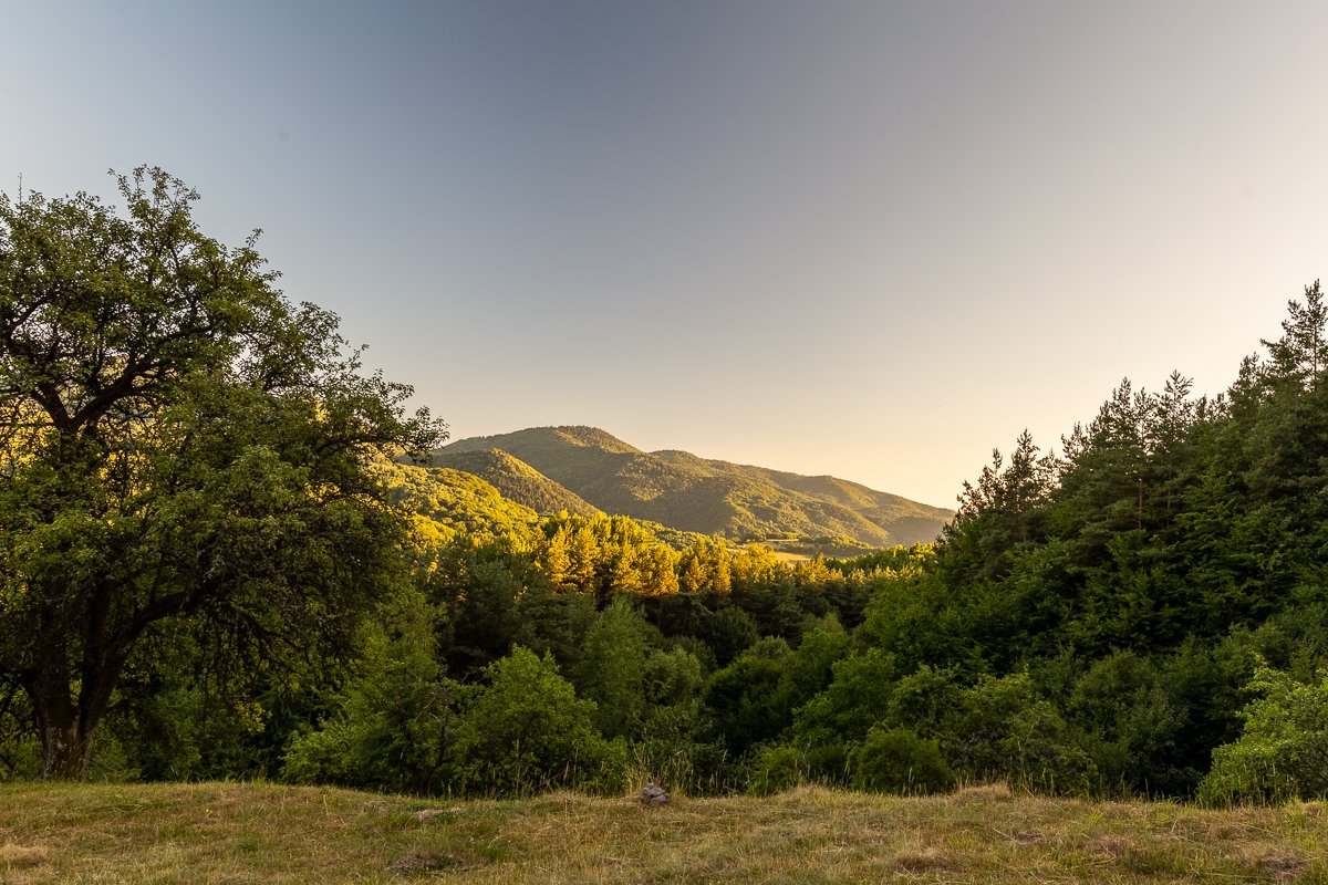 Kopce nad osadou Repište