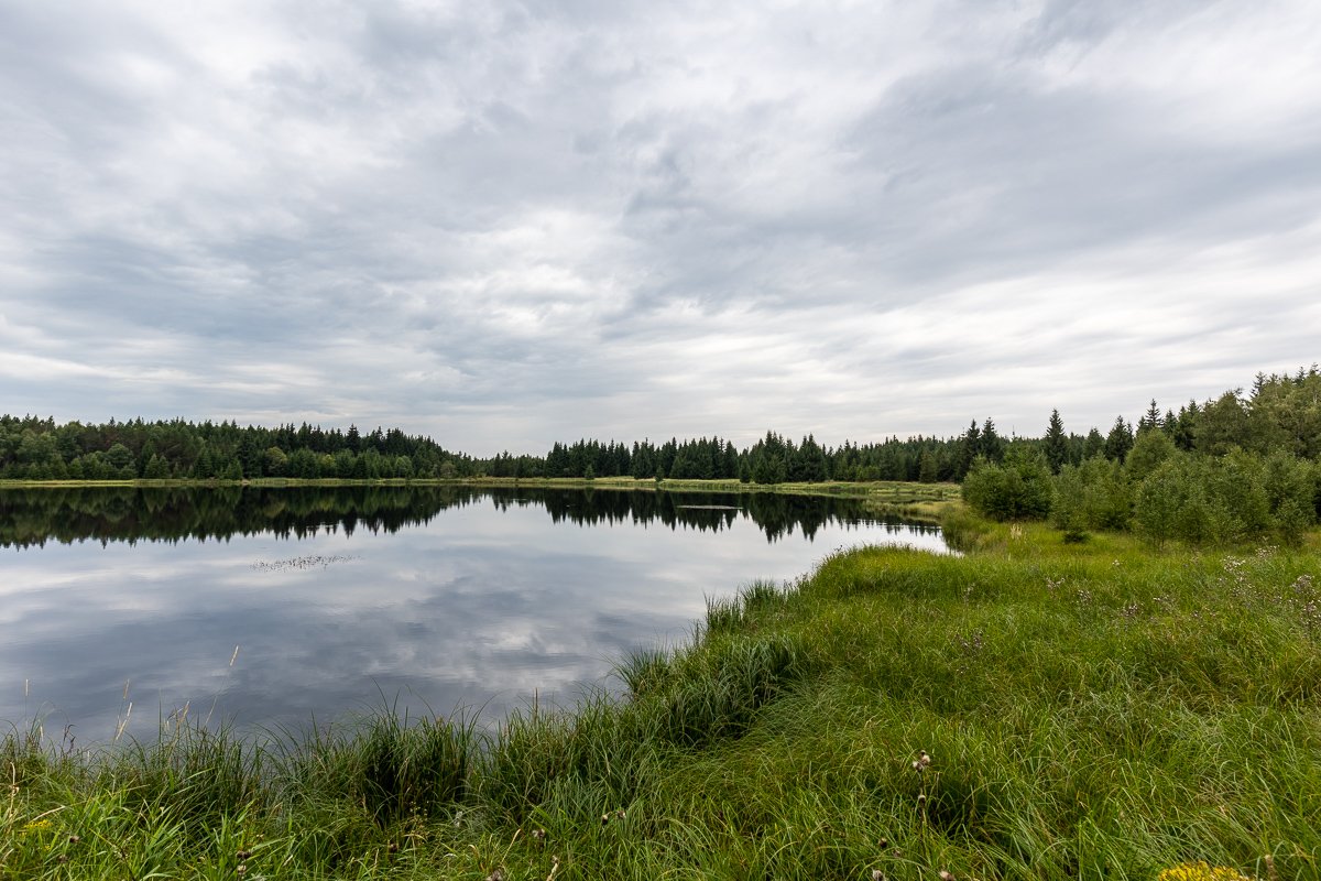 Starý rybník