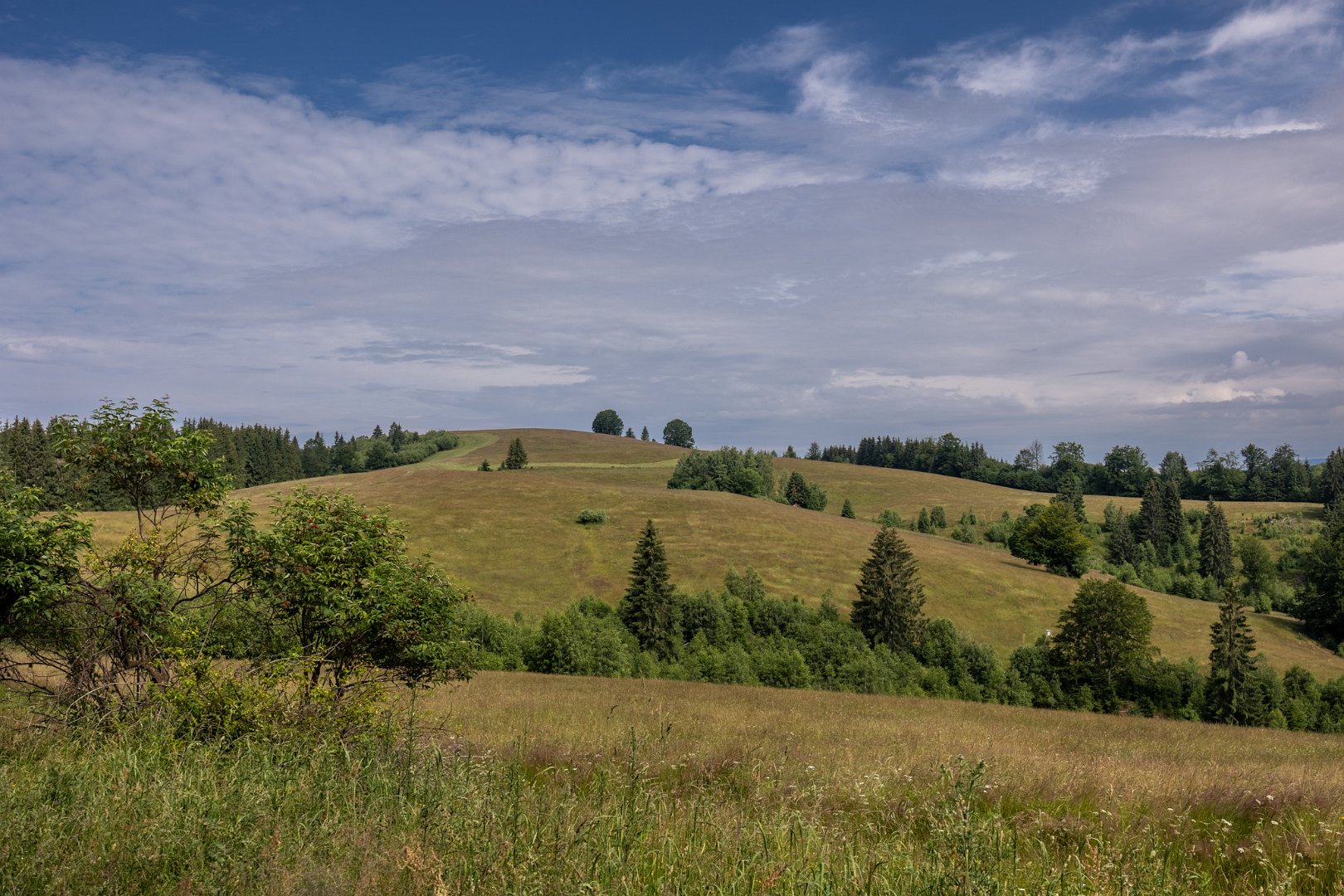 Výhledy