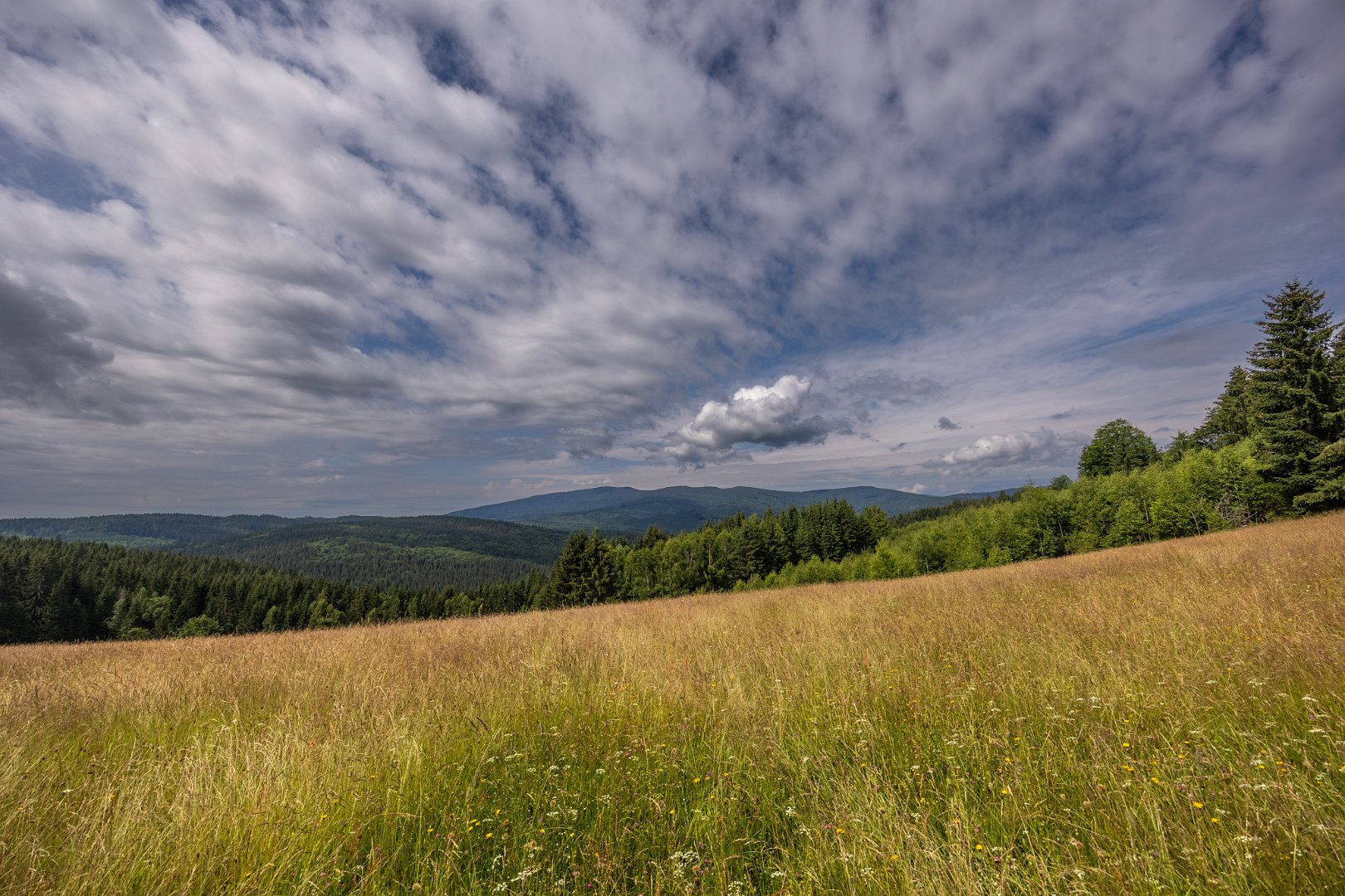 Výhledy