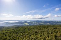 Výhledy z rozhledny