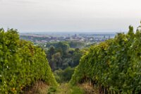 Hnanice, Retz a Šobes